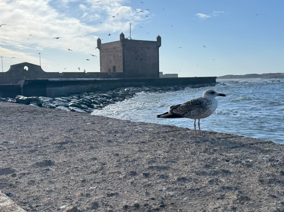 索维拉堡垒-索维拉必去景点