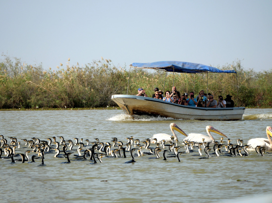 朱吉鸟类保护区-圣路易必去景点