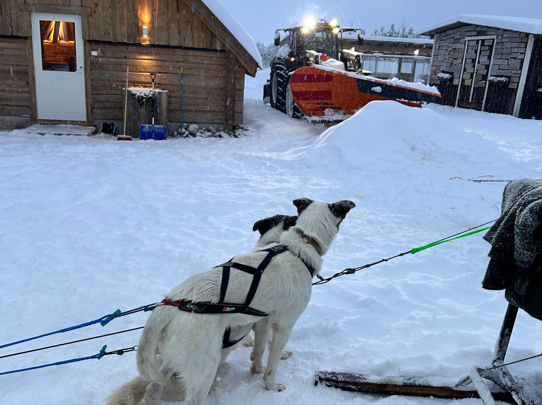 哈士奇雪橇之旅-罗瓦涅米必去景点