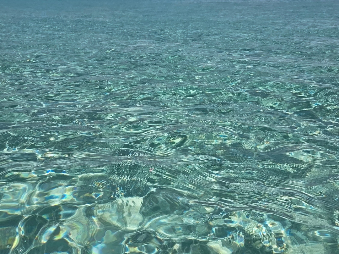 Papa Fish Excursions-乌库拉斯必去景点