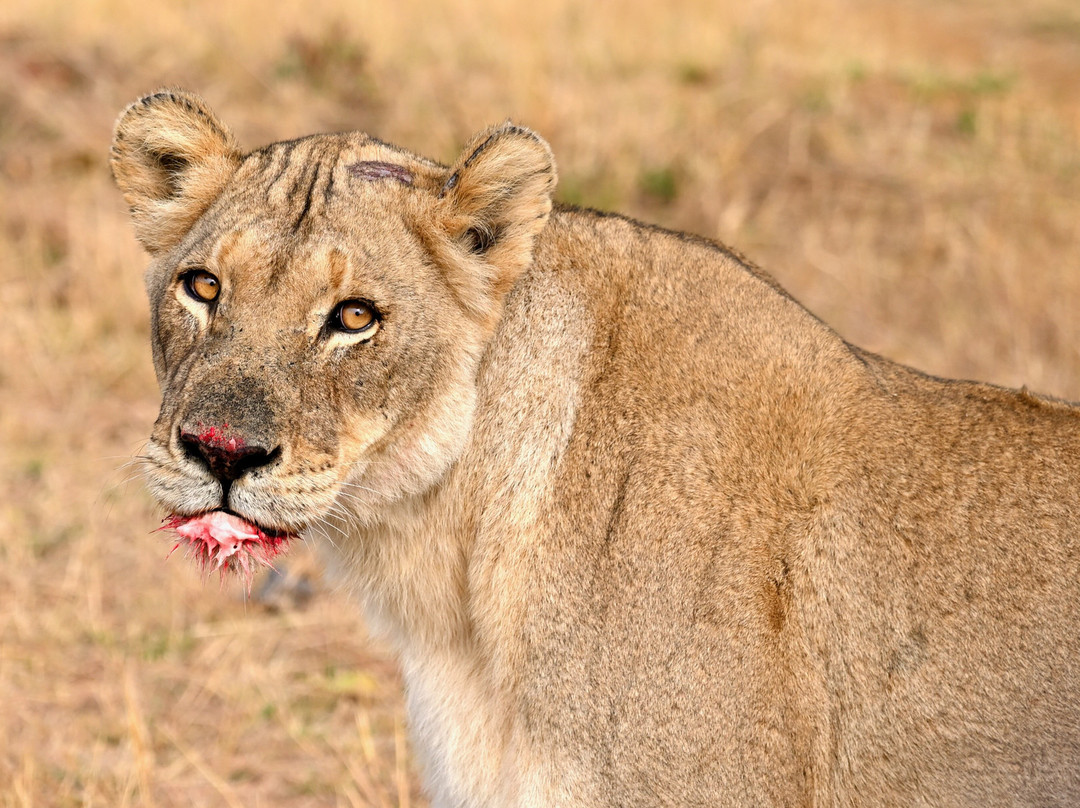 Rare Earth Tours-温德和克必去景点