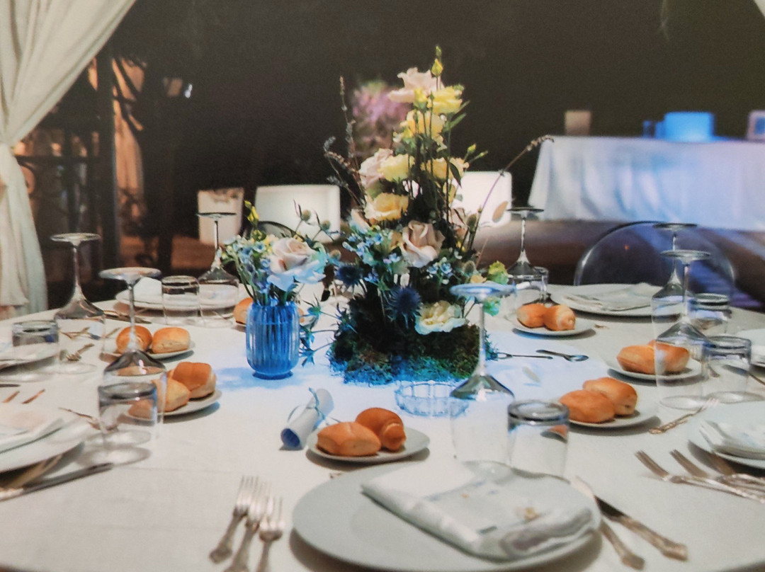 阿佛罗帝蝶别墅酒店主图