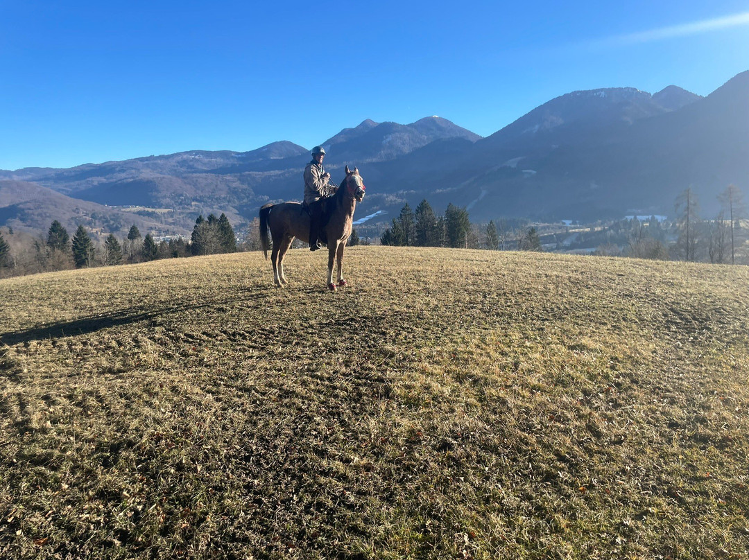 Učni ranč-Bohinjska Cesnjica必去景点