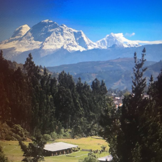 Maimara Hotel-官方