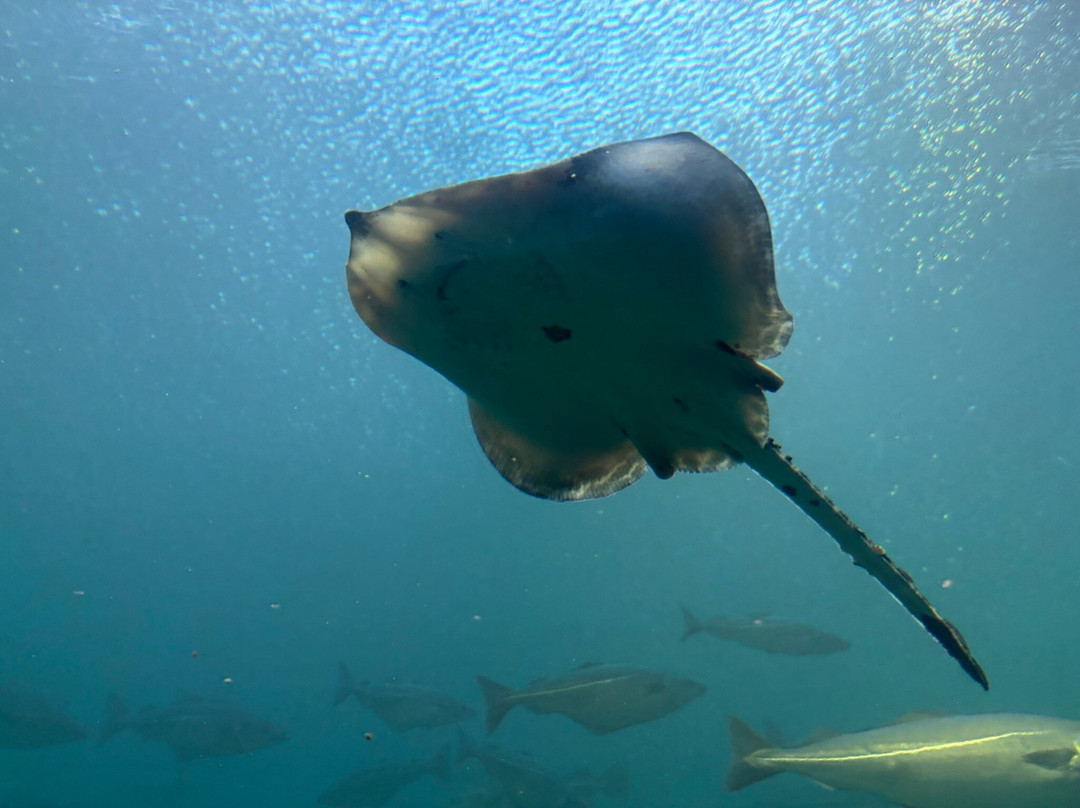 Atlantic Sea Park-奥勒松必去景点