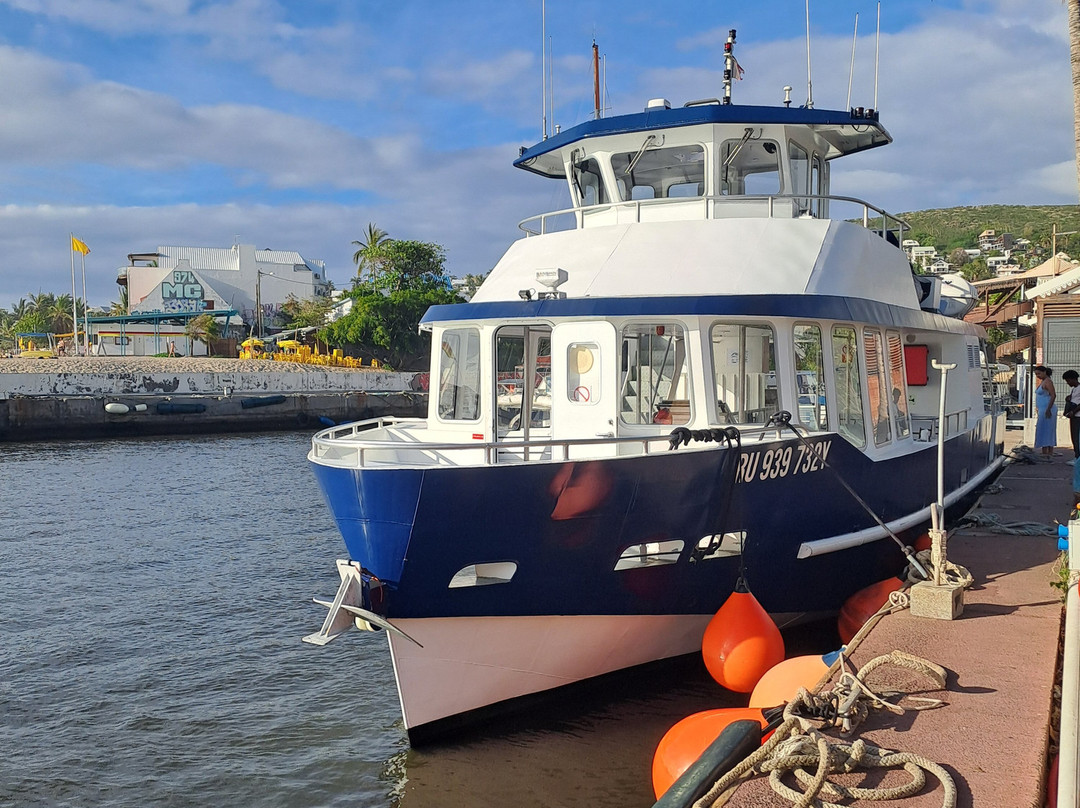 Croisieres & Decouvertes - Le Grand Bleu-圣吉尔莱班必去景点