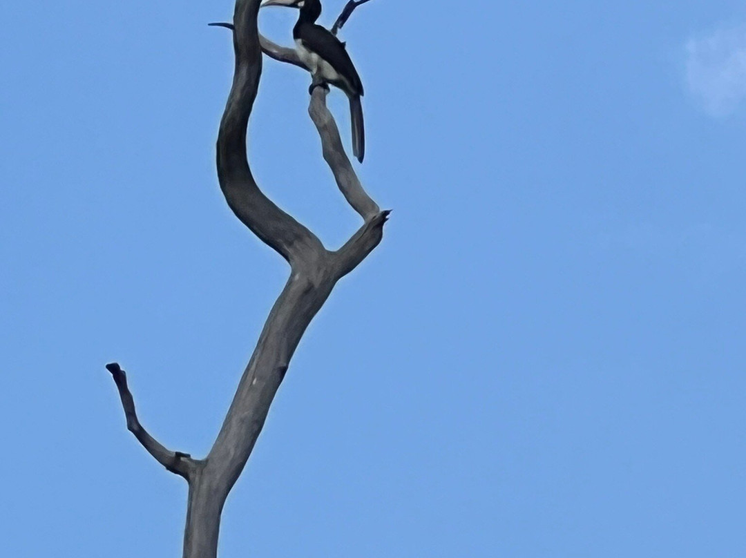 Uda walawe National Park