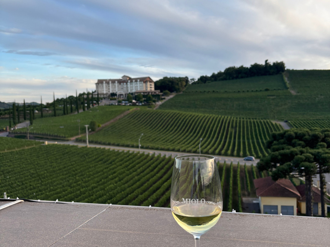 Miolo Wine Group-本图贡萨尔维斯必去景点