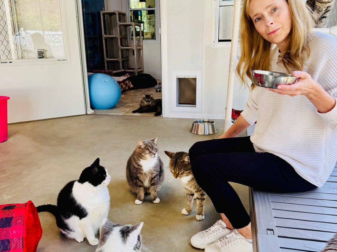 Blind Cat Rescue & Sanctuary-Saint Pauls必去景点