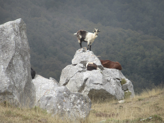 Mirador De Piedrasluengas-Pesaguero必去景点