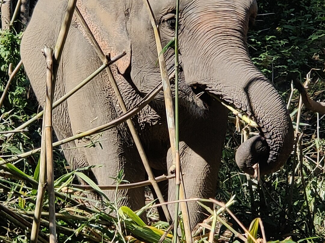 Chang Chill-Mae Win必去景点
