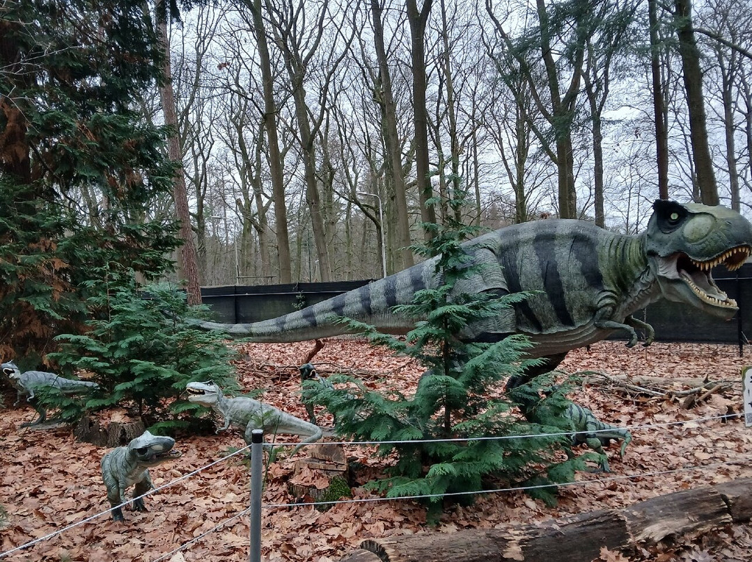 Het Oertijdmuseum-Boxtel必去景点