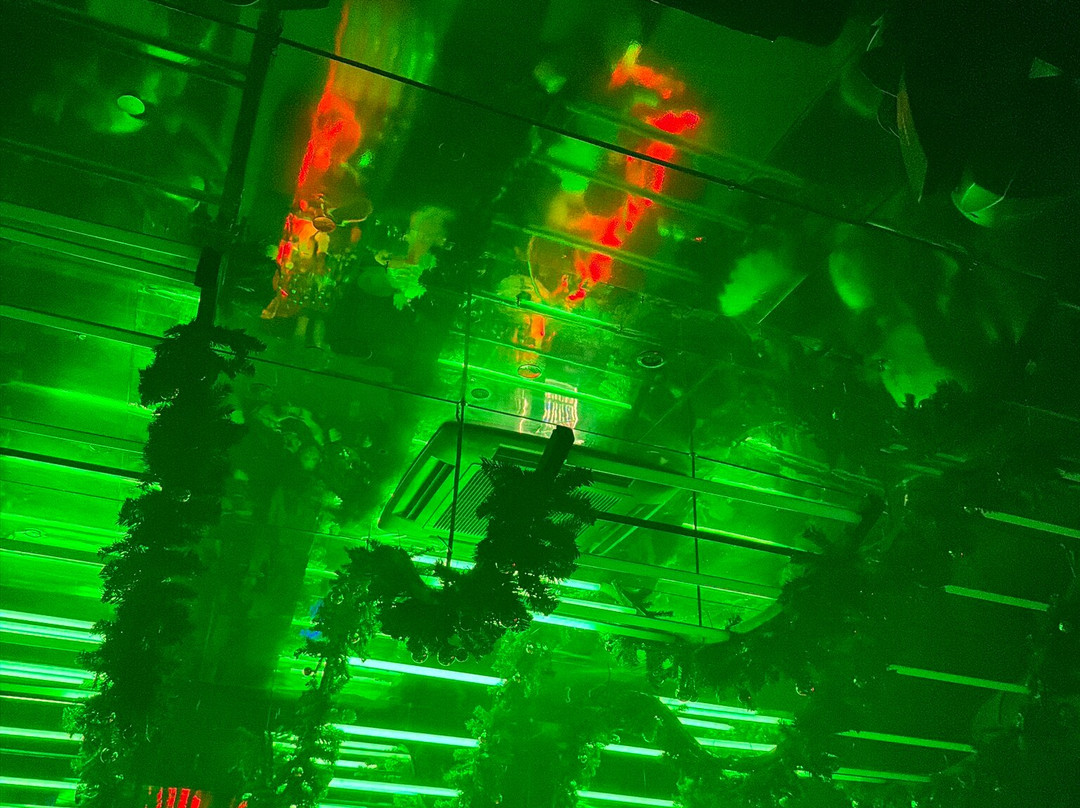 Capogiro Joy Club-库尔诺必去景点