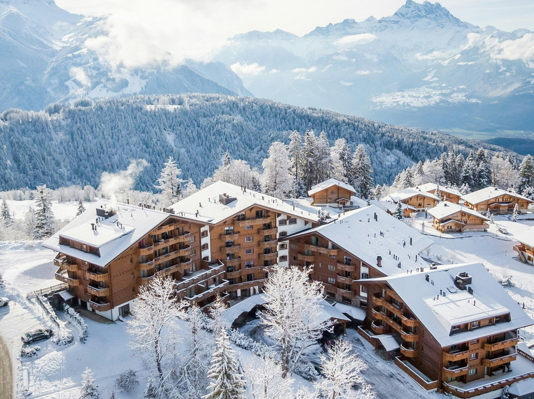 瑞欧亚普木屋温泉酒店