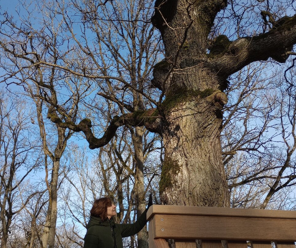 Waldgasthof Wildbad主图