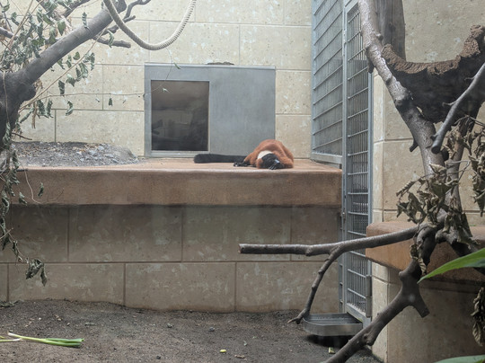 Zoo Wuppertal-伍珀塔尔必去景点