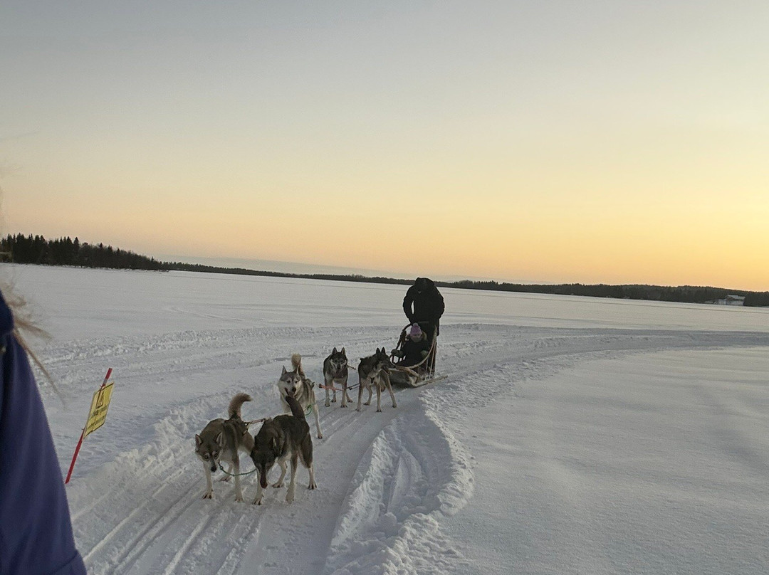 Tundra Huskies Huskyfarm-Levi必去景点