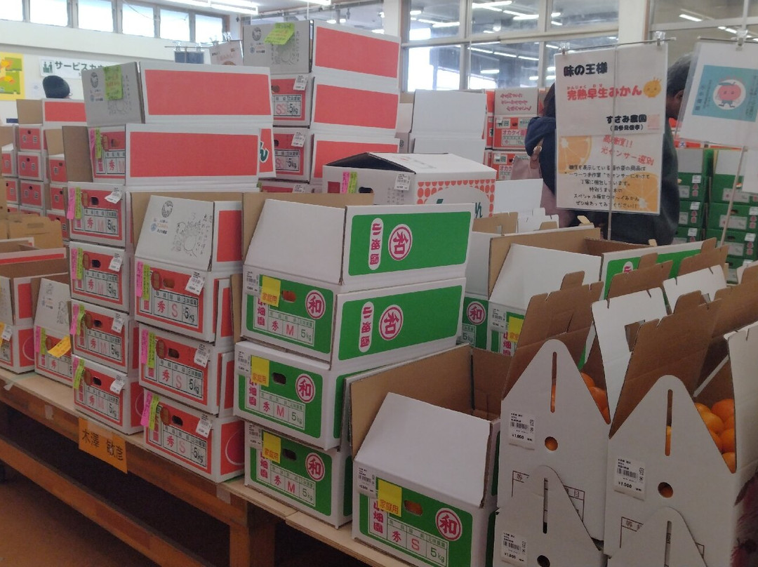 JA Arida Farmars Market Aridakko-有田市必去景点