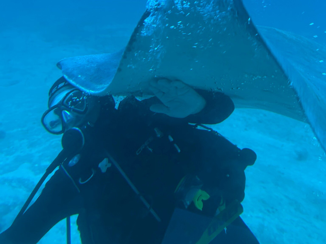 Tenerife First Excursions-奥德杰海岸必去景点