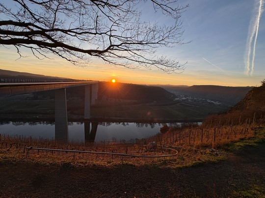 Aussichtspunkt Moseltal West