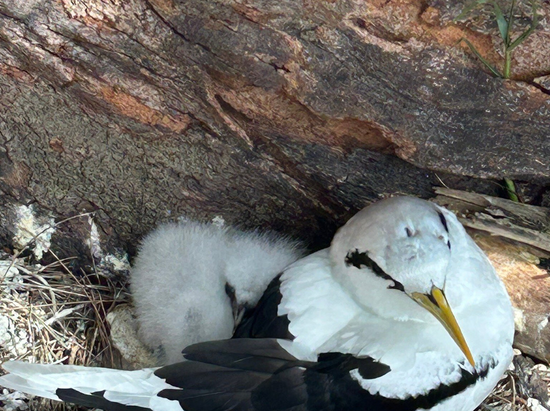 Paradisio Excursions Ile Maurice-大湾必去景点