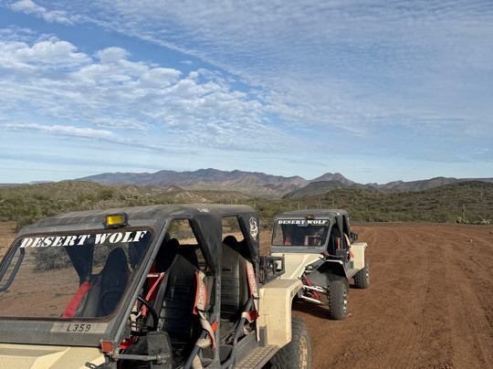 Desert Wolf Tours-凤凰城必去景点