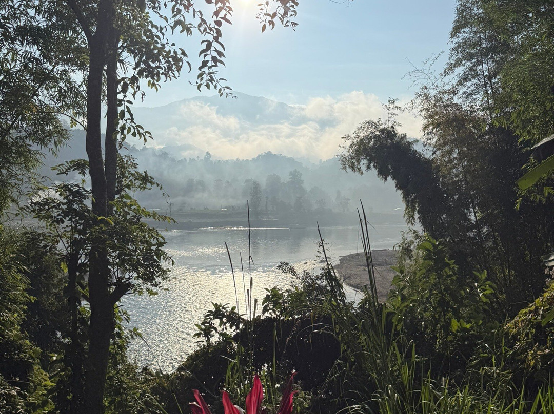 MandaLao Elephant Conservation-琅勃拉邦必去景点