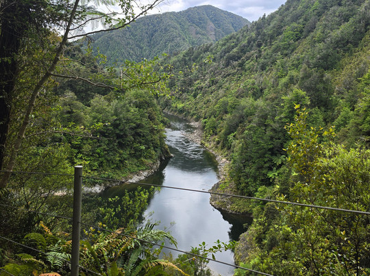 Buller Adventures-韦斯特波特必去景点