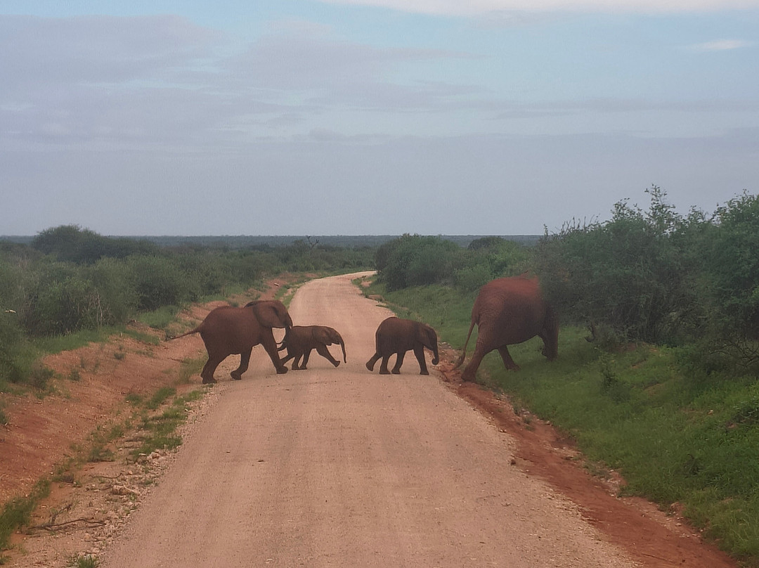 Malik Safari-马林地必去景点