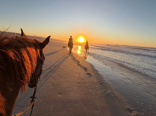 Ranch Des Dunes-达赫拉必去景点