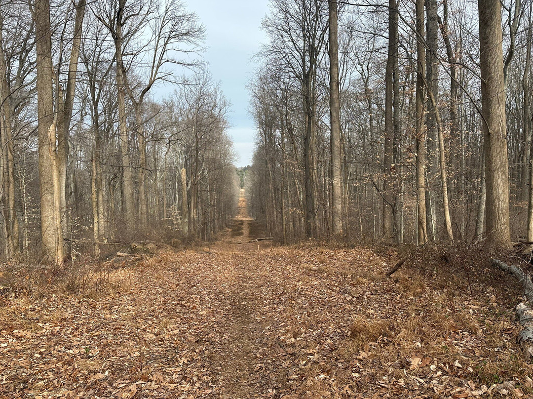 Clayton Park-Garnet Valley必去景点