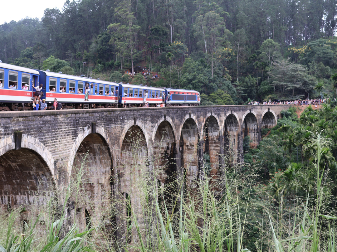 Explore Lanka Tours By Sahan-佩拉德尼亚必去景点