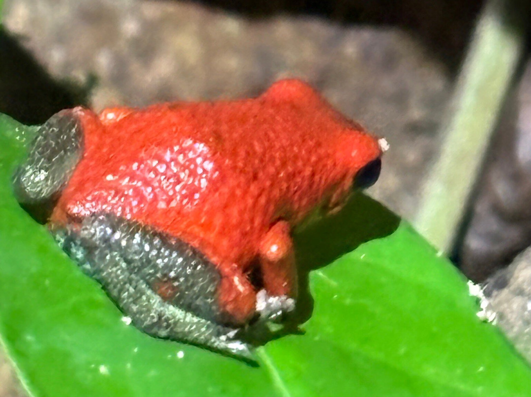 Santa Lucia Falls-乌维塔必去景点