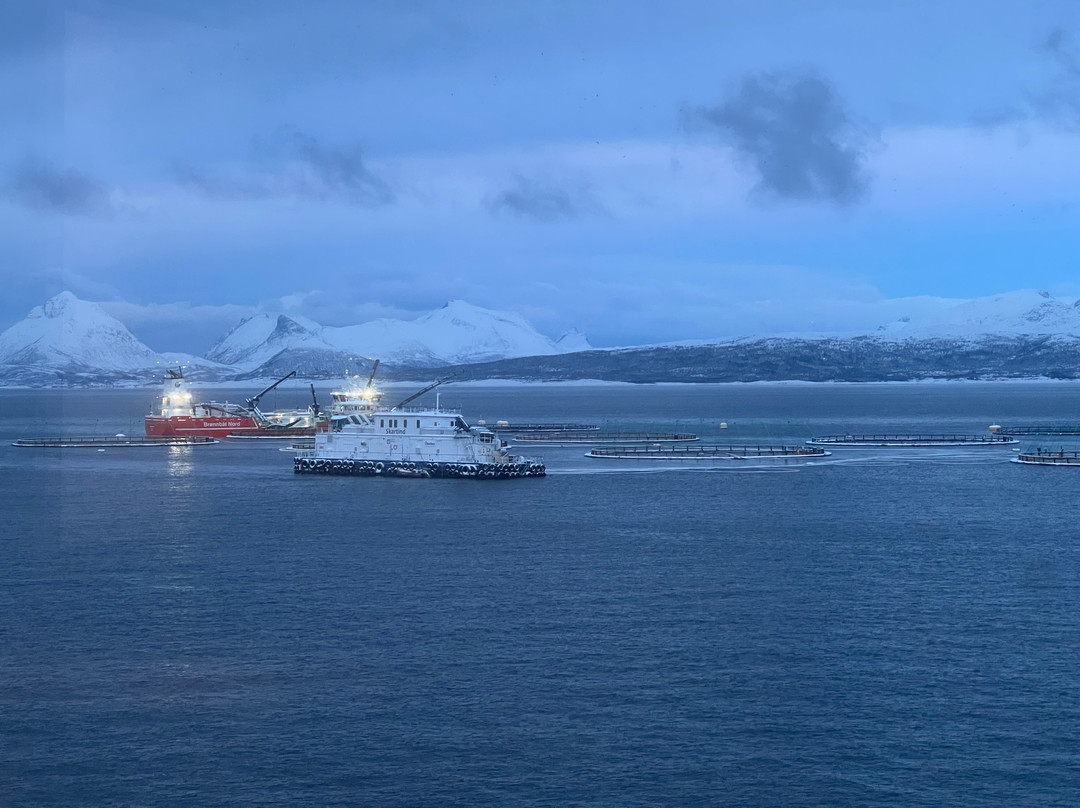 Arctic Aqua-Engenes必去景点