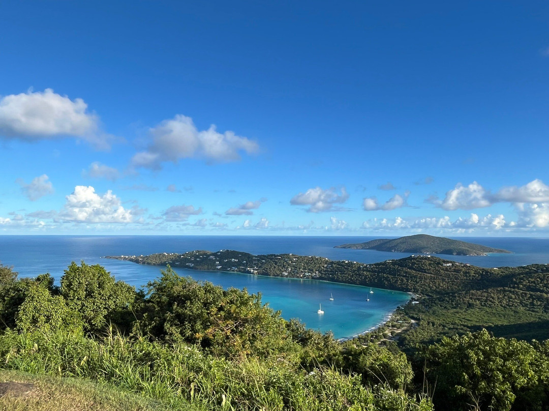 Marley's Taxi Service-圣 托马斯必去景点
