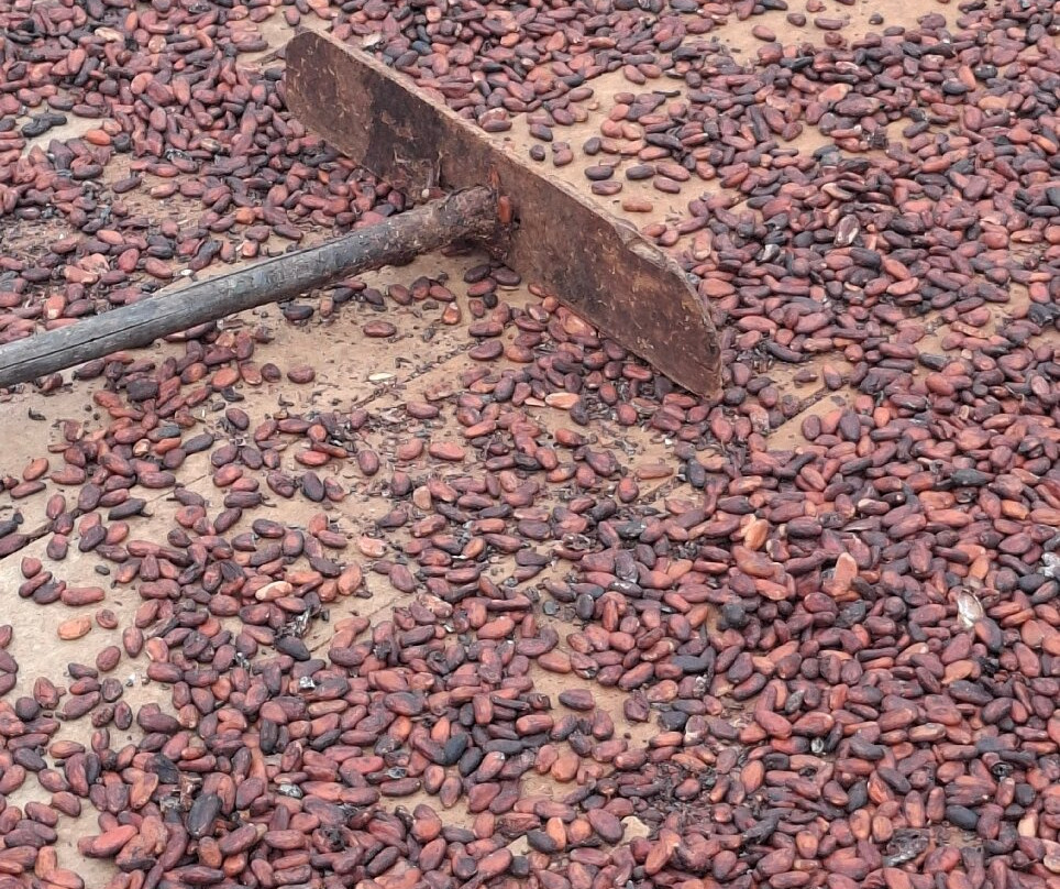 Fazenda Yrere-Ilheus必去景点