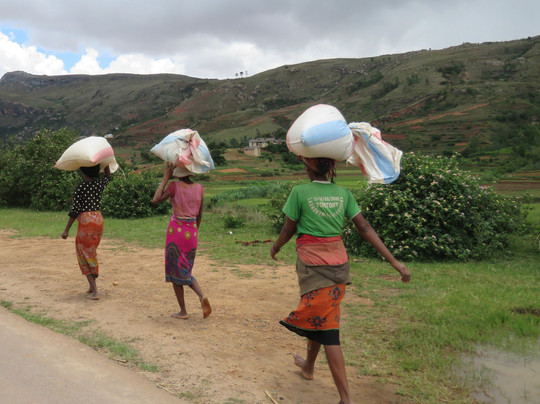 Madagascar Green Tours-安齐拉贝必去景点