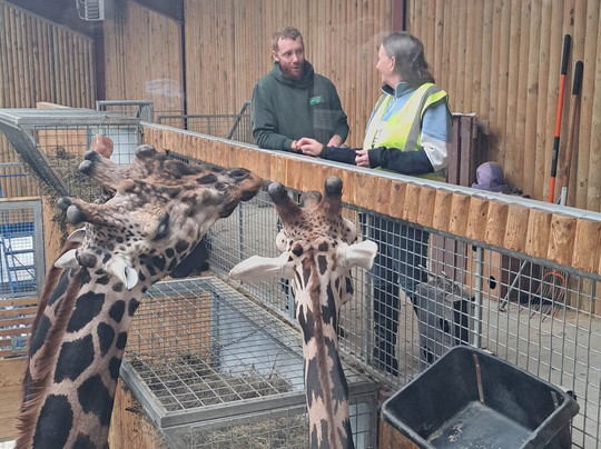 Wingham Wildlife Park-Wingham必去景点