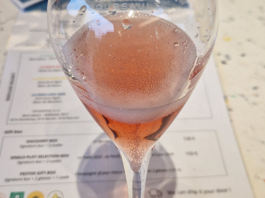 Champagne Le Gallais-Boursault必去景点