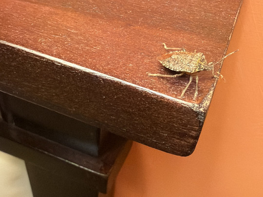 伊卡朗基餐厅乡村酒店主图