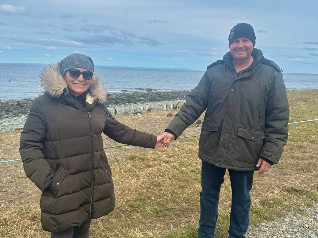 isla magdalena-蓬塔阿雷纳斯必去景点