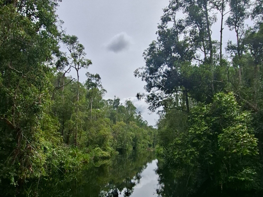 Guia En Borneo-Pangkalan Bun必去景点