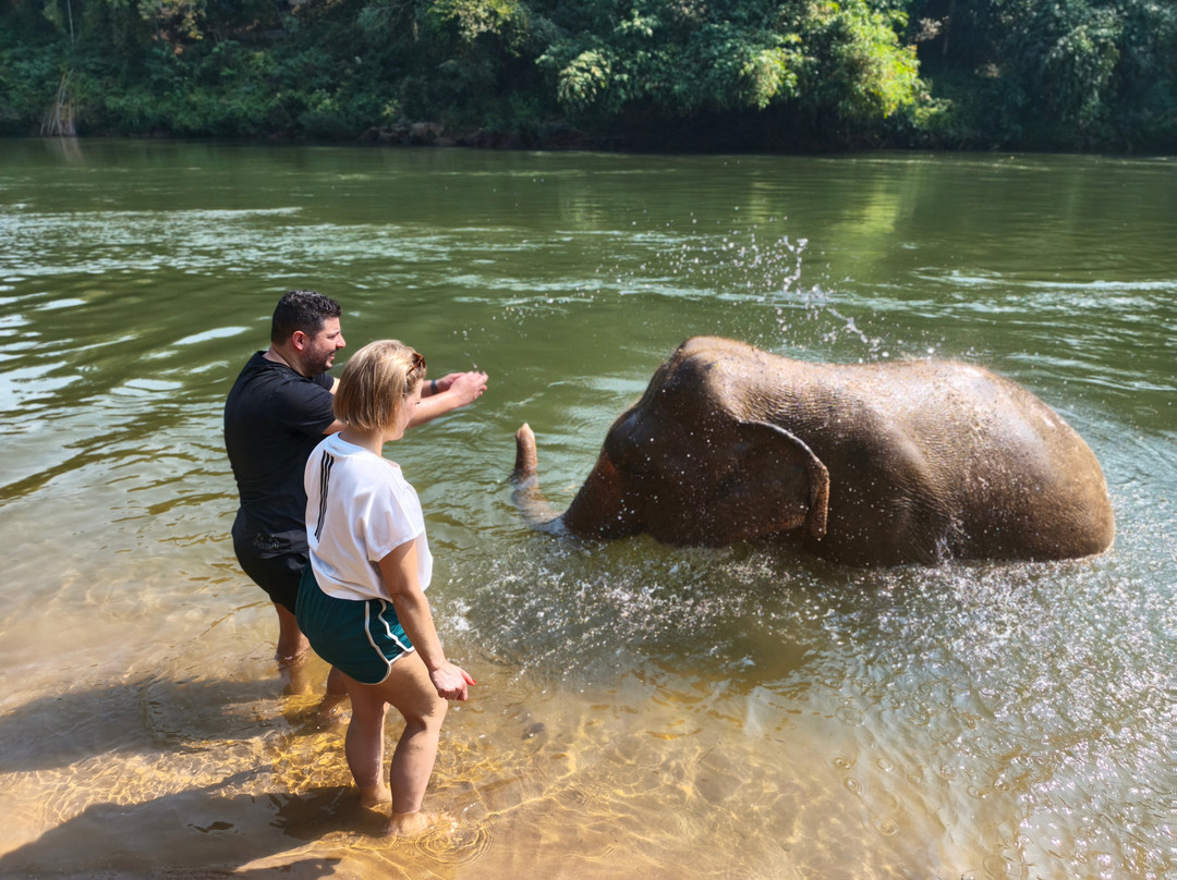 Elephant Haven-柿约必去景点
