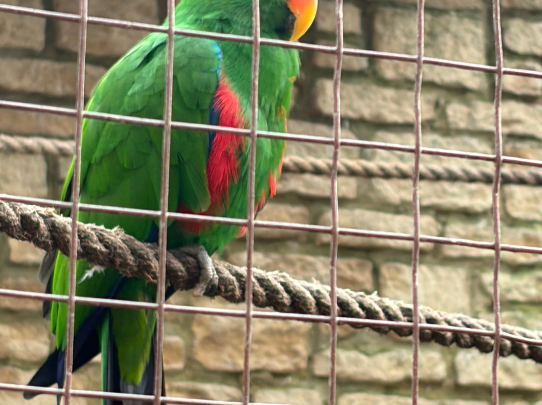 鸟园-水上伯顿必去景点