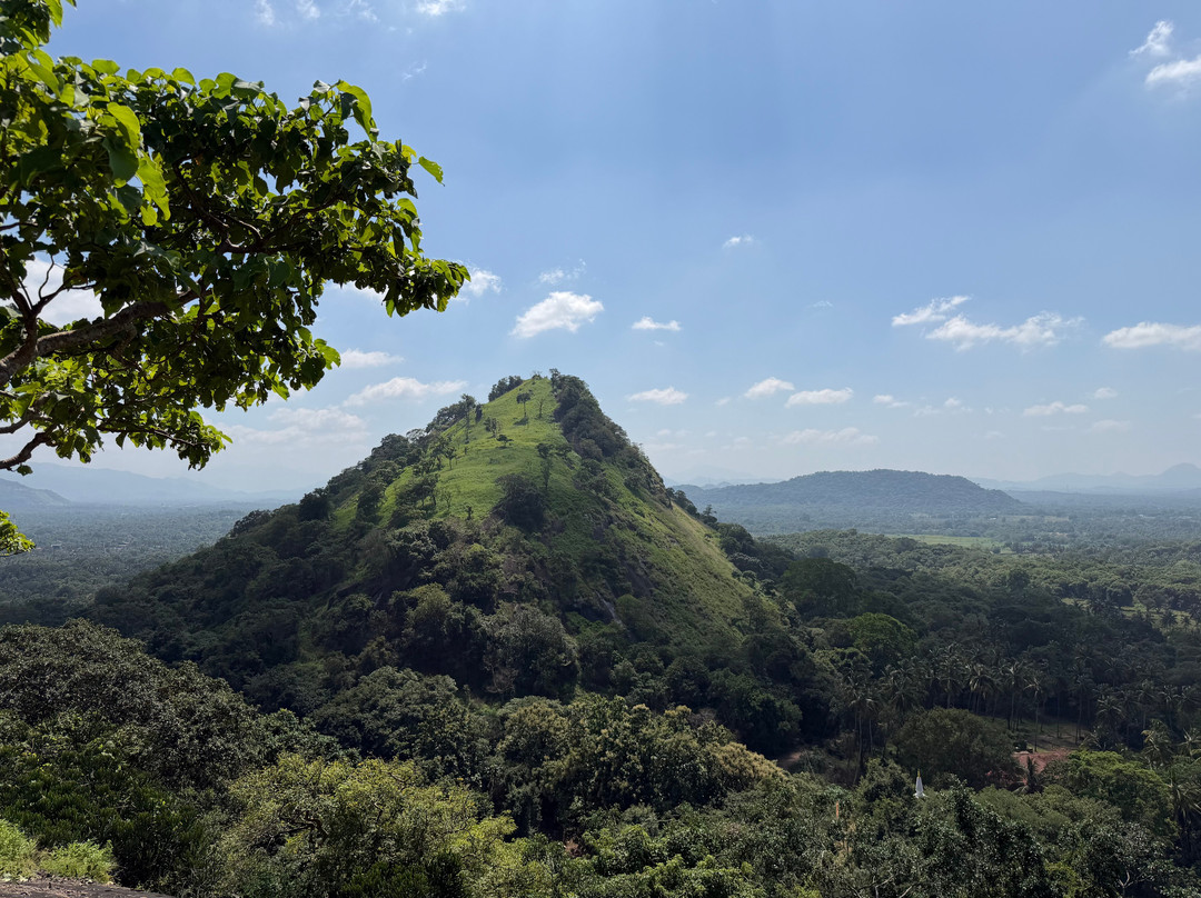 Rangi Tours-瓦都瓦必去景点