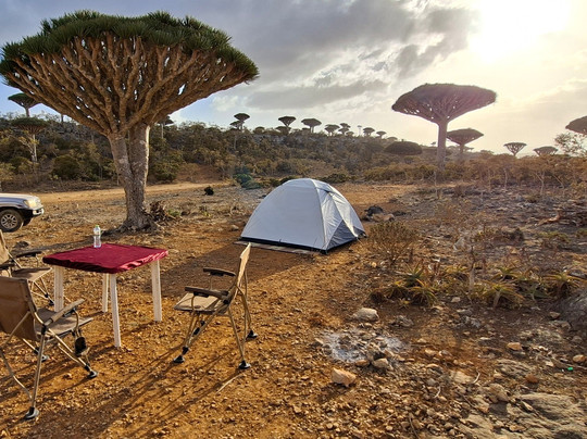 Socotra Trek Tours-Hadiboh必去景点
