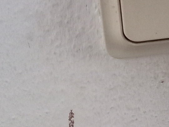 Seehotel Schorfheide主图