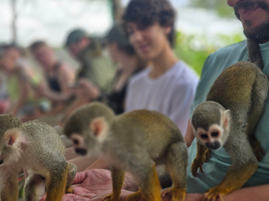 Monkey Home Puerto Plata-普拉塔港必去景点