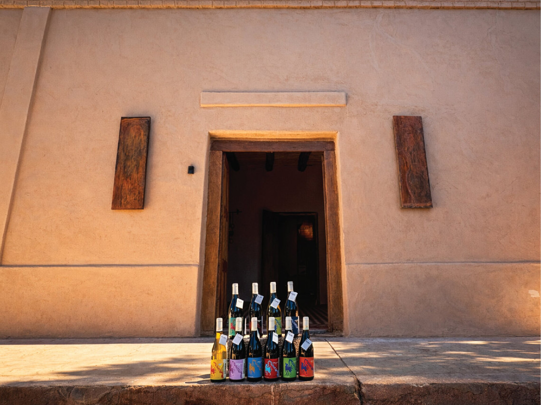 Bodega de la Calle Oscura