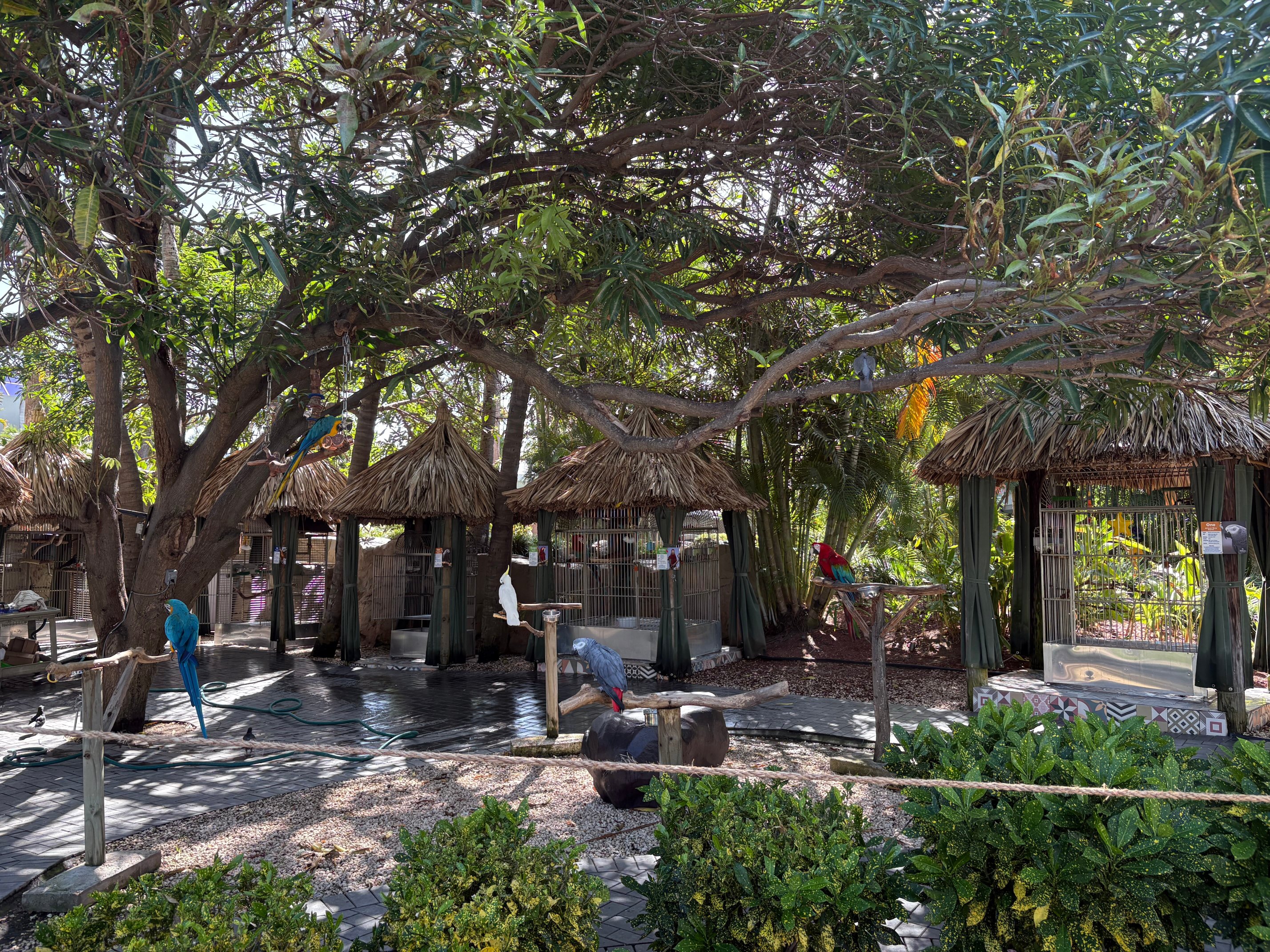 Hilton Aruba Caribbean Resort & Casino-浴室